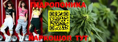 экстази Кингисепп