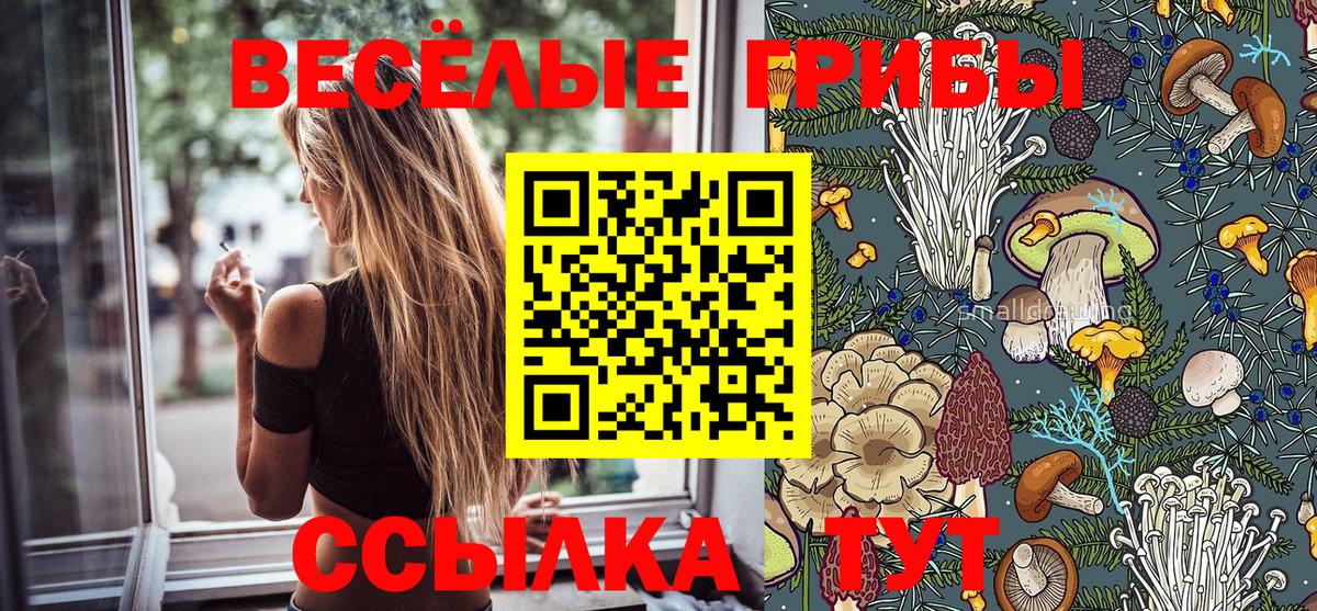 Псилоцибиновые грибы Magic Shrooms  Псилоцибиновые грибы ЛСД  Вход с VPN  Коммунар 